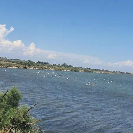 En Camargue Le Grau-du-Roi
